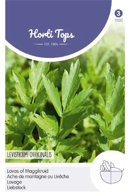 Zdjęcie produktu dla Lubczyk | Nasiona lubczyku od Hortitops