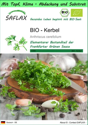 Produktbild von SAFLAX Garden to go - BIO - Kerbel - Anthriscus cerefolium - 800 Samen - Mit Topf, Klima - Deckel und Anzuchtsubstrat