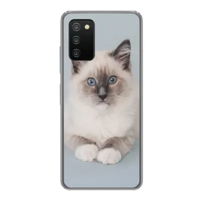 Produktbild von MuchoWow® Handyhülle Schutzhülle Hülle für Samsung Galaxy A03s Katze - Ragdoll Katze - Blau - Mädchen - Kinder - Jungen - Kind Silikon Softcase Handy Hülle - Schutz