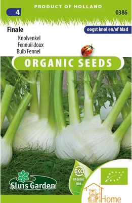 Image de Graines de fenouilFinal – Qualité supérieure pour une récolte fraîche et aromatique