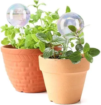 Produktbild von Selbstwassernde Glasblumen für Pflanzenliebhaber