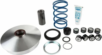 Produktbild von POLINI HI-SPEED Variator YAMAHA MAJESTY 400