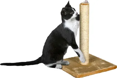 Immagine prodotto di Tiragraffi a colonna Bella 29x29x39 cm beige KAR