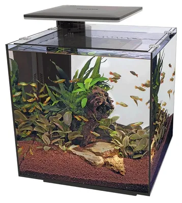 Productafbeelding van SuperFish Qubiq 60 Pro | 60L | 40 x 40 x 50,8CM Zwart