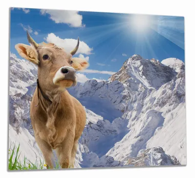 Produktbild von Wallario Herdabdeckplatte aus Glas, Größe 60 x 52 cm 1-teilig, Motiv Kuh im Sonnenschein in den Alpen