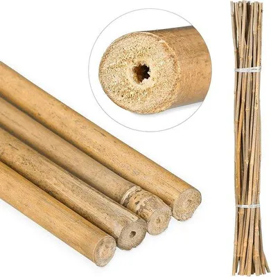 Produktbild von Famanu Bamboostangen 120 cm - Robuste Pflanzenstützen für Garten und Kletterpflanzen