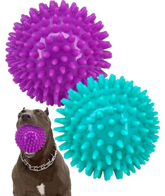 Immagine prodotto di Palle per cani, 2 pezzi, diametro 11,4 cm, con sonaglio, resistenti, adatte a cani di taglia media e grande, colore viola