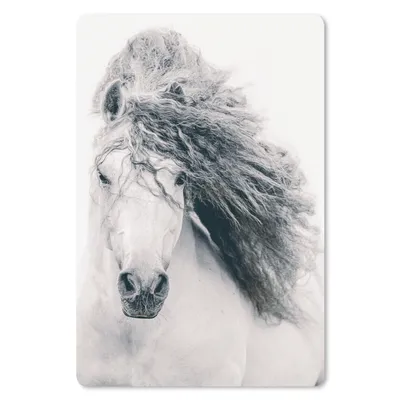 Produktbild von MuchoWow® Mauspad Mousepad Pferd - Grau - Mähne 40x60 cm - Mousepads - Maus Mat - Pad - Mausunterlage - Schreibtisch Accesoire