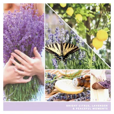 Produktbild von Votivkerze mit Zitronen-Lavendel-Duft