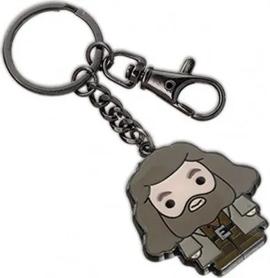 Image de Harry Potter : Porte-clés - Hagrid / métal