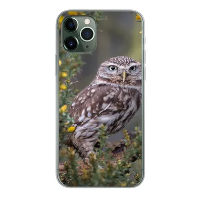 Produktbild von MuchoWow® Handyhülle Schutzhülle Hülle für iPhone 11 Pro Eine kleine braune Eule sitzt da und starrt nach vorne Silikon Softcase Handy Hülle - Handy
