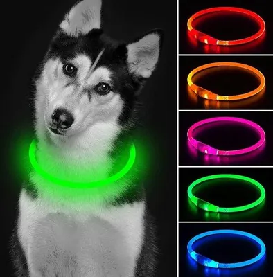 Produktbild von Famanu Hundehalsband mit Licht – Sicherheitslicht für Hunde