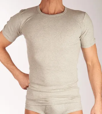 Image de Dulcia t-shirt col rond basic Coton 1-1 rib grey hommes
