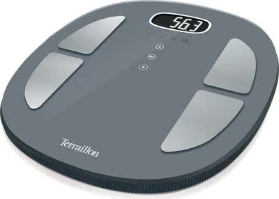Image de Terraillon Pop Color Coach Oval Grey Pèse-personne électronique