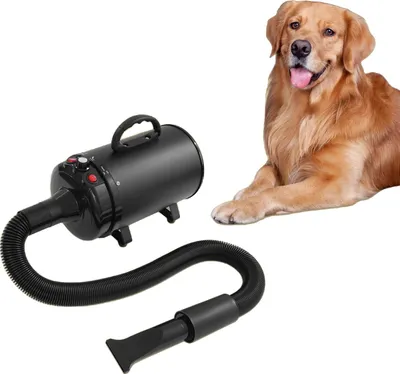 Produktbild von 2200W Haustier-Haartrockner, einstellbare Temperatur, mehrere Düsenauswahlmöglichkeiten, Schwarz