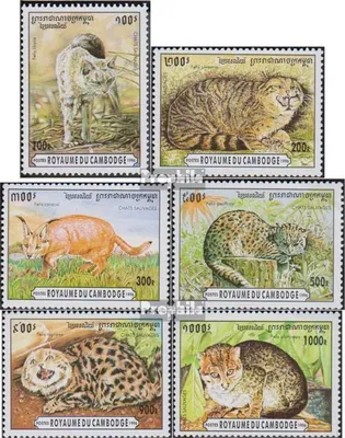 Produktbild von Briefmarken Kambodscha 1996 Mi 1569-1574 (kompl.Ausg.) postfrisch Kleinkatzen
