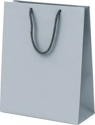 Image de Sacs laminés 240x90x320 Argent