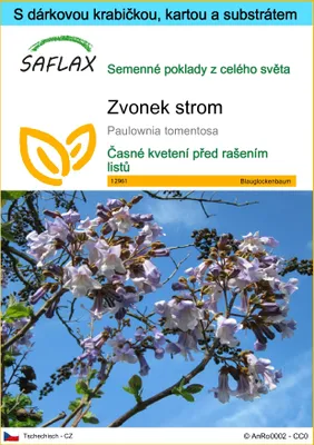 Obrázek produktu pro SAFLAX Dárková sada - zvonek strom - Paulownia tomentosa - 200 Semena - S dárkovou krabičkou, přepravním štítkem, dárkovou kartou a pěstebním médiem
