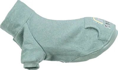 Produktbild von TRIXIE Sweatshirt Littleton - mint - 365L x 20H x 200B