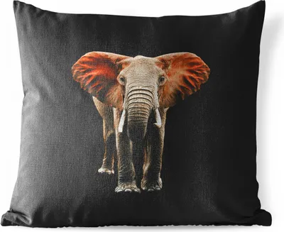 Produktbild von MuchoWow® Outdoor Kissen - Elefant - Tiere - Zähne - 45x45 cm - Wetterfest - Lounge Kissen - Fotokissen - Dekoratives Kissen