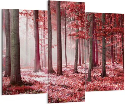 Produktbild von Bild auf Leinwand - Leinwandbild - 3 Teile - Wald Rot Bäume - 130x100cm - Wand Bild - Wanddeko - Wandbilder - Leinwanddruck - Bilder - Wanddekoration - Leinwand bilder - Wandbild - CB130x100-4944