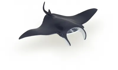 Obrázek produktu pro Papo 56006, 3 rok/roky, Marine life, Černá, Bílá, PVC