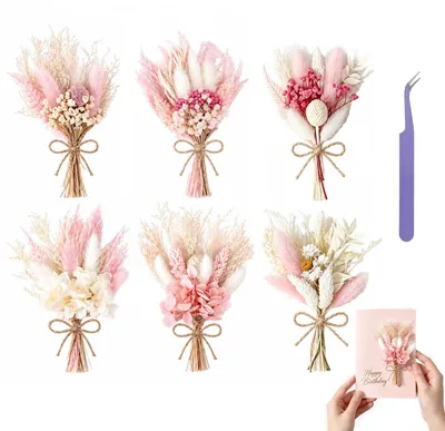 6er-Set Trockenblumen-Minsträuße, Naturblumen, Dekoration