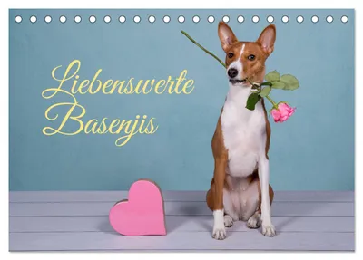 Produktbild von Liebenswerte Basenjis (Tischkalender 2027 DIN A5 quer), CALVENDO Monatskalender