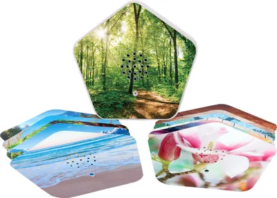 Produktbild von Olympia Nature Box 8001 Tragbarer Lautsprecher One Size / EU Plug 220V One Size