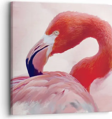Produktbild von Bild auf Leinwand - Leinwandbild - Einteilig - Flamingo Vogel Porträt - 30x30cm - Wand Bild - Wanddeko - Wandbilder - Leinwanddruck - Bilder - Wanddekoration - Leinwand bilder - AC30x30-4984