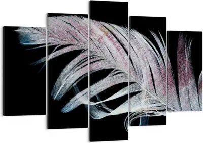 Produktbild von Bild auf Leinwand - Leinwandbild - 5 Teile - Feder die Farben Zartheit - 150x100cm - Wand Bild - Wanddeko - Wandbilder - Leinwanddruck - Bilder - Wanddekoration - Leinwand bilder - EA150x100-4959