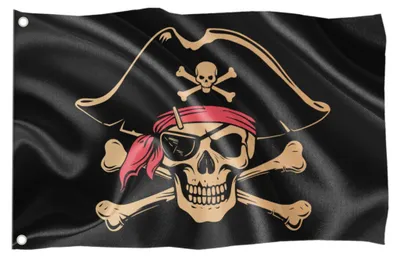 Productafbeelding van Weerbestendige Piratenvlag voor Binnen en Buiten, 60 x 40 cm