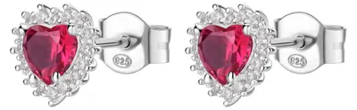 Produktbild von Passion Rubin Fancy Silber Ohrringe FPR51