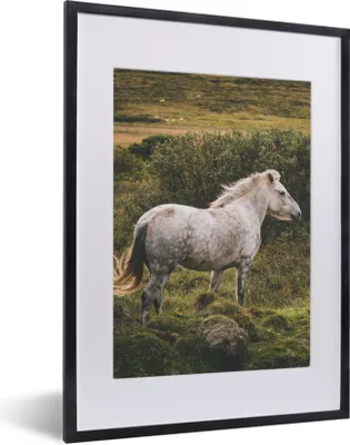 Produktbild von MuchoWow® MuchoWow® Gerahmtes Poster Pferd - Gras - Weiß 30x40 cm - Poster mit zchwarzem Bilderrahmen - Wandposter Schlafzimmer