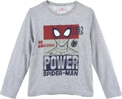 Produktbild von Spider-Man Kinder Jungen Langarm-shirt T-Shirt Longsleeve , Farbe:Grau, Größe:98