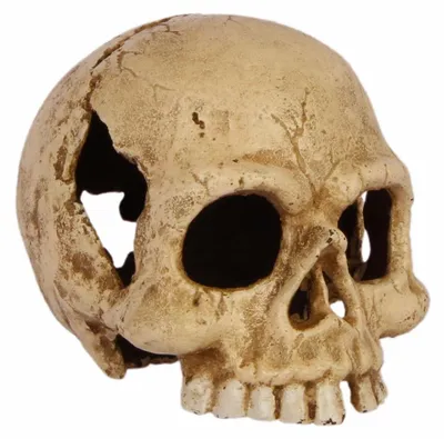 Zdjęcie produktu dla Moritz Totenkopf – przycisk do papieru z żeliwa, dekoracja, ciężarek w kształcie szkieletu z czaszką, kolor kremowo-biały