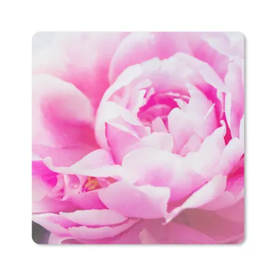Produktbild von MuchoWow® Mauspad Mousepad Nahaufnahme einer rosa Pfingstrose mit Blättern 20x20 cm - Mousepads - Maus Mat - Pad - Mausunterlage - Desk Mat - Bureauartikeln