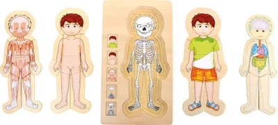 Immagine prodotto di Puzzle a strati anatomia ragazzo