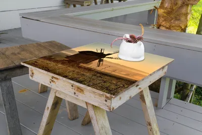Produktbild von Wallario selbstklebende Möbelfolie/ Tischdecke für Innen und Außen, Größe: 100 x 100 cm - Morgendämmerung am Mühlenfeld