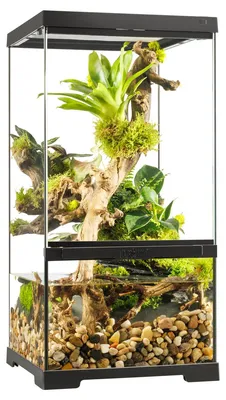 Produktbild von Terrarium, Paludarium Exo Terra EX - Pro Paludarium™ X-Small X-Tall 30 x 30 x 60 cm ohne Dekoration, Bodengrund und Tech
