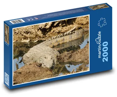 Produktbild von martinpuzzle - Puzzle 2000 Teile - Nilkrokodil - Tierwelt, Tier