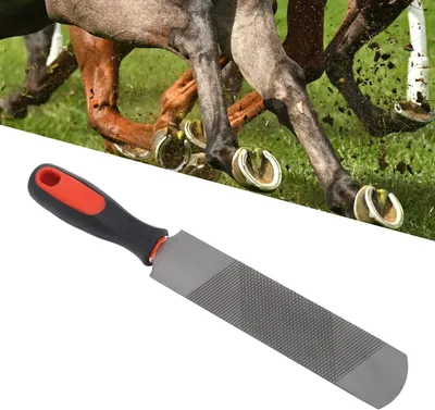 Productafbeelding van Hoefrasp 8 Inch - Hoefvijl Gereedschap - Hoefverzorging Dieren - Koolstofstalen Raspt - 8 inch - Zwart