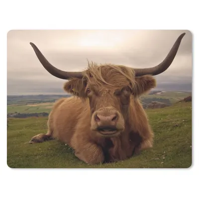 Produktbild von MuchoWow® Mauspad Mousepad Schottischer Highlander - Tiere - Berg 23x19 cm - Mousepads - Maus Mat - Pad - Mausunterlage - Schreibtischunterlage - Mauspad