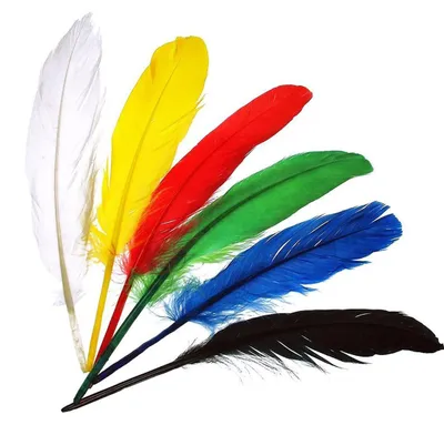 Image de Meyco plumes d'indien en bleu blanc jaune rouge et noir 17 à 20cm