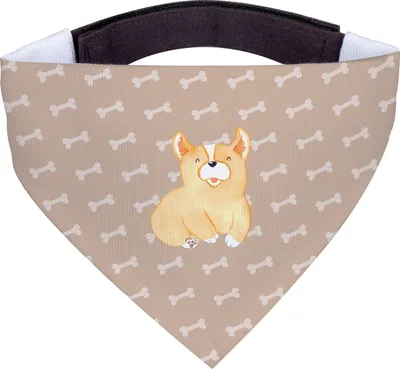 Produktbild von Mr. & Mrs. Panda Tuch Corgie - Hundeglück - Geschenk, Sprüche, Bellen, Halstuch Hund, Motivation, Spruch, Hunde-Halstuch, Für Hunde, Hundehalstuch