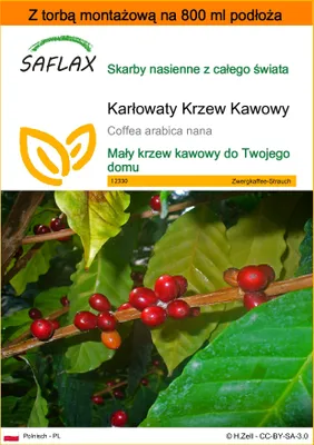 Zdjęcie produktu dla SAFLAX - Garden in the bag - Karłowaty Krzew Kawowy - 8 Nasiona - Z podłożem uprawowym w praktycznej, samorozkładającej się torbie - Coffea arabica nana
