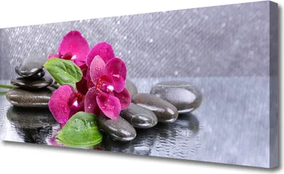 Produktbild von Tulup Leinwand-Bilder 125x50 Wandbild Canvas Kunstdruck Blumen Steine Kunst