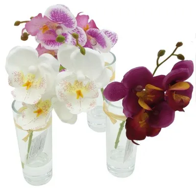 Produktbild von Edle Orchidee in Glasvase, 19,5cm