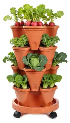 Image de Jardin vertical avec 4 niveaux et système de drainage automatique