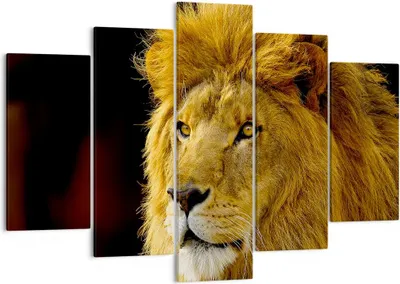 Produktbild von Bild auf Leinwand - Leinwandbild - Löwe Tiere Tierwelt - 150x100cm - Wand Bild - Wanddeko - Leinwanddruck - Bilder - Kunstdruck - Wanddekoration - Leinwand bilder - Wandkunst - EA150x100-1237